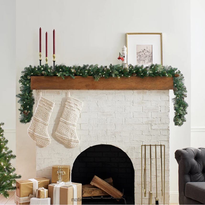 Greenery | National Tree Company Pre-Lit Artificial Christmas Garland Green Carolina Pine White Lights Decorated with Pine Cones Battery Operated Christmas Collection 9 Feet F2L4F336